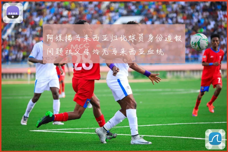 阿媒揭马来西亚归化球员身份造假问题祖父母均无马来西亚血统