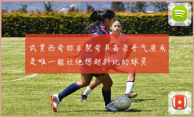 武贾西奇称东契奇具备杀手气质或是唯一能让他想起科比的球员