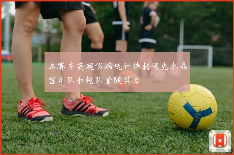 本赛季英超伤病统计热刺领先水晶宫车队和枪队紧随其后