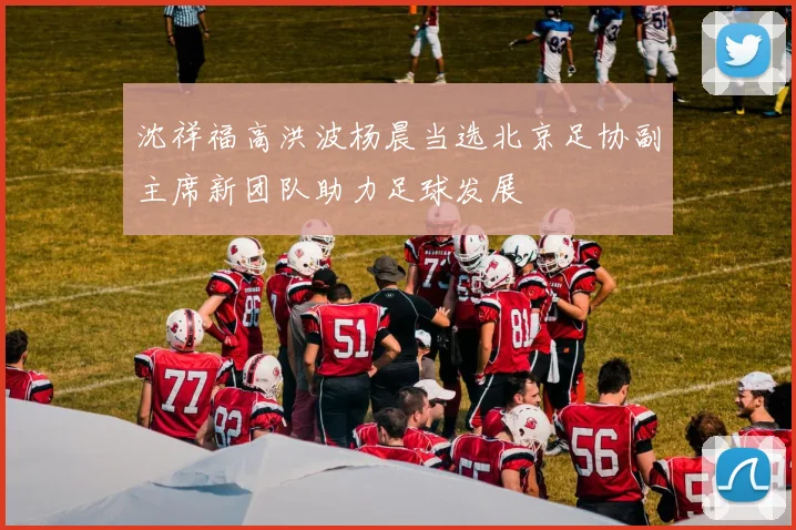 沈祥福高洪波杨晨当选北京足协副主席新团队助力足球发展